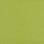 Wasabi